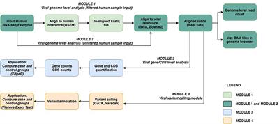 viGEN: An Open Source Pipeline for the Detection and Quantification of Viral RNA in Human Tumors